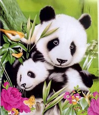 BEST SELLER!! Selimut Internal - Pandaseprai kintakun / seprai bonita / seprai my love / seprai polos / seprai murah / seprai rumbai / seprai california / seprai karakter