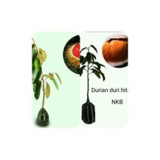 Bibit 2 Paket Durian Merah Dan Durian Duri Hitam Kaki 1