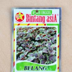 Bibit Bunga Benih Bintang Asia Bayam Belang – 50 gram