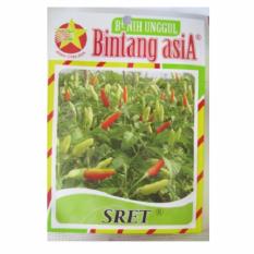 Bibit Bunga Benih Bintang Asia Cabe Rawit Sret – 10 gram