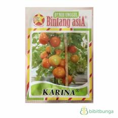 Bibit Bunga Benih Bintang Asia Tomat Karina – 10 gram