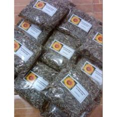Bibit Bunga Benih Bunga Matahari Kuning Lokal – 250 gram