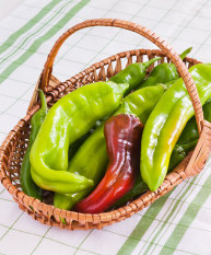 Bibit Bunga Benih Cabe Anaheim (New Mexico Pepper)