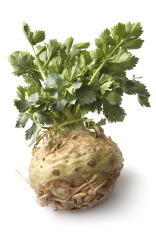 Bibit Bunga Benih Celeriac (Seledri Akar/Celery Root)