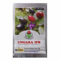 Bibit Bunga Benih Dramaga Cabe Hias Ungara IPB – 25 Biji