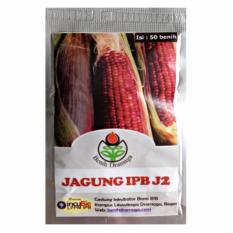 Bibit Bunga Benih Dramaga Jagung Ungu IPB J2 – 50 Biji