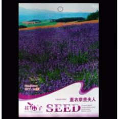 Bibit Bunga Benih French Lavender 20 biji – Retail Asia