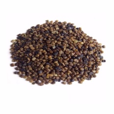 Bibit Bunga Benih Indigofera - 20 gram