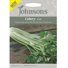 Bibit Bunga Benih Johnsons Seeds Seledri Titus