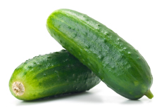 Bibit Bunga Benih Mentimun (Green Cucumber)