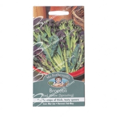 Bibit Bunga Benih Mr Fothergills Broccoli Red Arrow