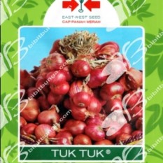Bibit Bunga Benih Panah Merah Bawang Merah Tuk Tuk 5 Pcs