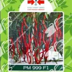 Bibit Bunga Benih Panah Merah Cabe PM 999 F1 5 Pcs