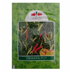 Bibit Bunga Benih Panah Merah Cabe Rawit Dewata F1 – 2.250 biji