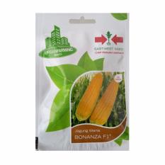 Bibit Bunga Benih Panah Merah Jagung Manis Bonanza F1 – 30 Biji