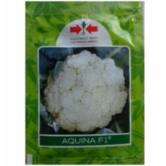 Bibit Bunga Benih Panah Merah Kembang Kol Aquina F1 – 10 Gram