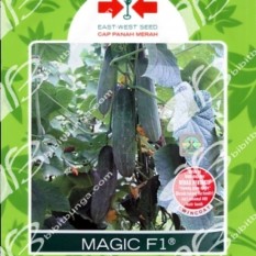 Bibit Bunga Benih Panah Merah Mentimun Magic F1 5 Pcs