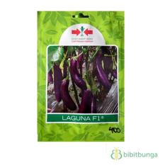 Bibit Bunga Benih Panah Merah Terong Ungu Laguna F1 – 400 Biji