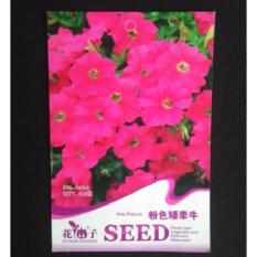 Bibit Bunga Benih Petunia Pink 60 Biji – Retail Asia