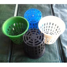 Bibit Bunga Net Pot Warna (Tinggi 10 cm Diameter 10,5 cm)