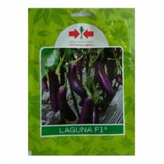 Bibit Bunga Panah Merah Benih Terong Laguna F1 – 5 gram