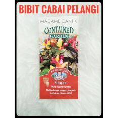 BIBIT CABE / BENIH Cabai Pelangi/ Bolivi*n Rainbow Pepper bell