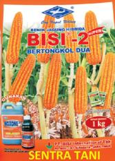 Bibit Jagung Hibrida