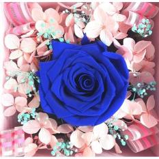 Bloom Box Dark Blue Rose Beauty Preserved Flower Uk 10 x10 cm