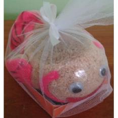 Boneka Horta Ikan Mini