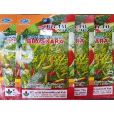 Cabe Rawit Hibrida F1 BHASKARA / Benih Cabai Rawit Hibrida F1 BHASKARA