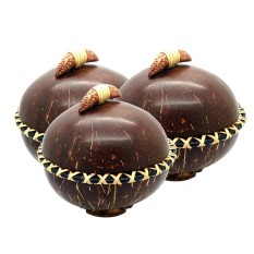 Central Kerajinan Toples Batok Kelapa Handle A - 3pcs