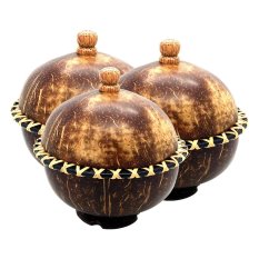 Central Kerajinan Toples Batok Kelapa Handle B - 3pcs