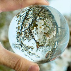 Cocotina Jelas Asian Jarang QUARTZ Kristal Ajaib Healing Ball Sphere 30 Mm + Stand