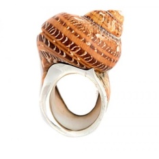 Conch Shell dan Perak Cincin Serbet (Bandung)-International