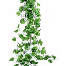Daun Artifisial/Plastik/Rambat Tipe C