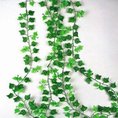 buytra bikinan hijau daun bertahan garland plantsg buytra bikinan hijau daun bertahan garland plantsg