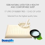 dunlopillo ergo latex pillow