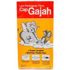 Gajah Original Papan Lem Tikus Cap Gajah Perangkap