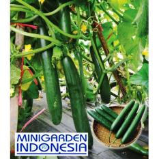 25 Benih Timun Jepang Toska F1 bibit tanaman sayur Sayuran mentimun