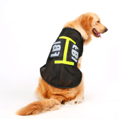Jo. In Anjing Kakinya Pakaian Bekas (5XL)