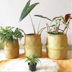 Keranjang Purun SET Belly Basket Polos (S,M,L), Foldable Seagrass Belly Basket, Keranjang Lipat, Keranjang Laundry, Cover Pot Anyaman Purun, Cover Pot Tanaman, Keranjang Cucian Baju Kotor, Keranjang Piknik, Keranjang Home Decor, Keranjang Hiasan Rumah