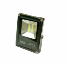 Lampu LED 10W untuk Taman Hall Ruangan Rapat Teras Halaman Gudang Garasi Kebun sangat Terang (Putih)