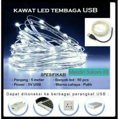 Lampu LED Hias Dekorasi - Lampu LED Kawat Tembaga White Putih - USB DC5V - Panjang 5m