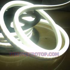 Lampu Led Neon Flex Lampu Selang Strip Putih (10 Meter)