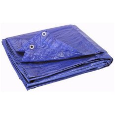 Lumba-Lumba Terpal plastik anti UV 5x8 meter
