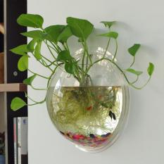 Mini Tangki Ikan Home Adornment Metope Aquarium Menggantung Tangki Vakum Floret Botol-diameter 15 Cm Transparan-Intl
