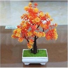 Naindo Bunga Bonsai Hiasan Rumah Indonesia Naindo Bunga Bonsai Hiasan Rumah