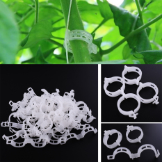 New Clear 50 Pcs Klip Tanaman Sayuran Pokok tanaman Hanging Anggrek plastik klip