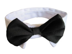 Niceeshop Formal Pet Anjing Dasi dan Kerah (HITAM PUTIH 26-30 Cm)