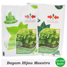 Obral Murah Benih Bayam Hijau Maestro (Kemasan Personal Pouch Cap Panah Merah)